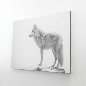 Loup Blanc Tableau | TableauDecoModerne®