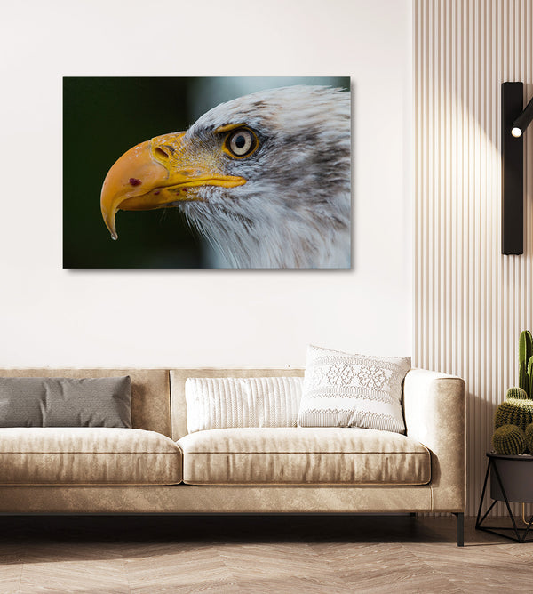 Tableau Aigle Royal | TableauDecoModerne®