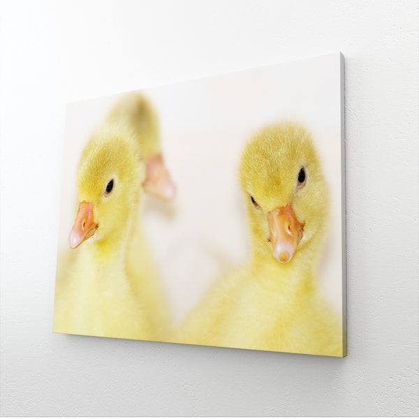 Tableau Poussins | TableauDecoModerne®