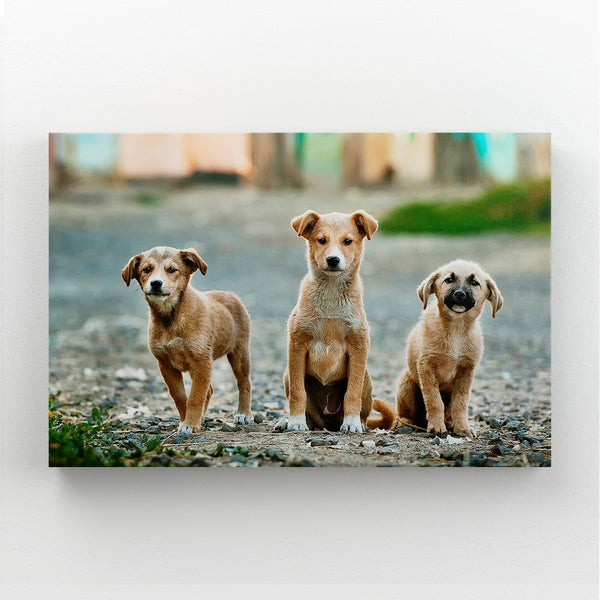 Tableau Trois Chien | TableauDecoModerne®