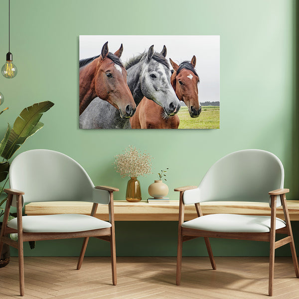 Tableau trois Chevaux | TableauDecoModerne®