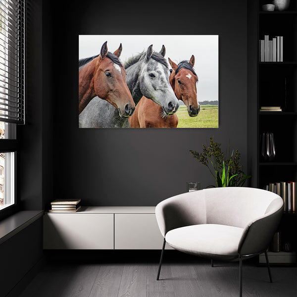 Tableau trois Chevaux | TableauDecoModerne®