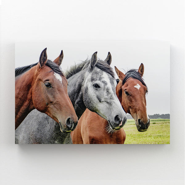 Tableau trois Chevaux | TableauDecoModerne®