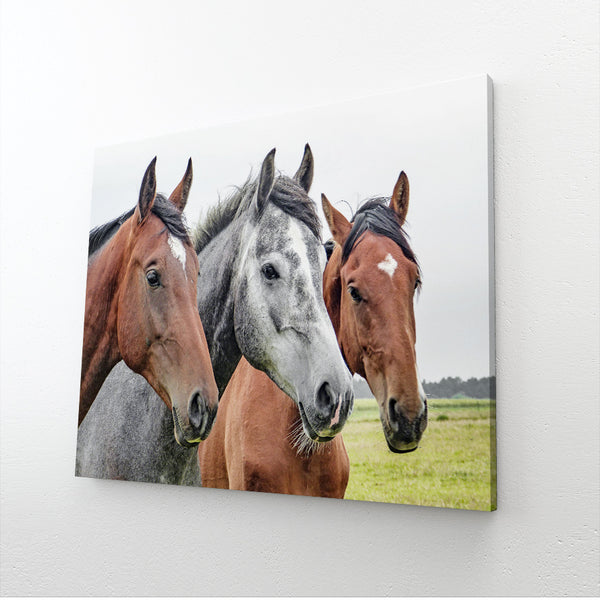 Tableau trois Chevaux | TableauDecoModerne®