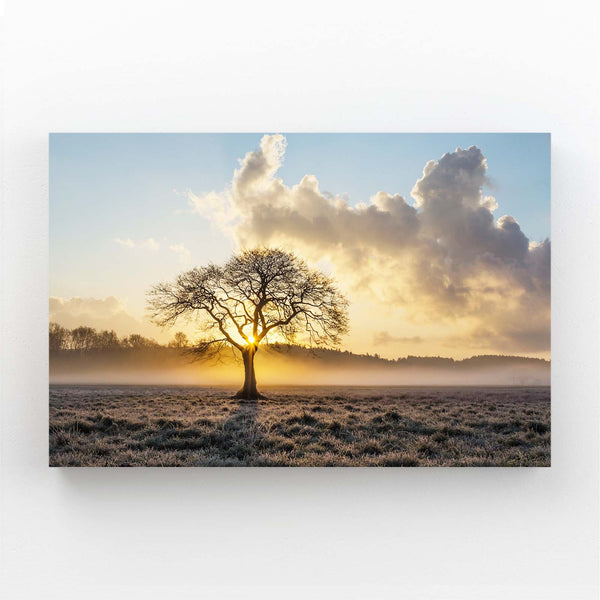 Arbre du Matin Tableau | TableauDecoModerne®