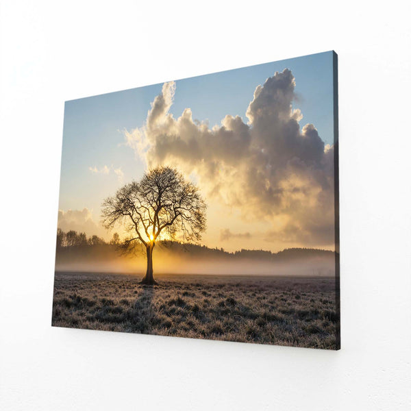 Arbre du Matin Tableau | TableauDecoModerne®