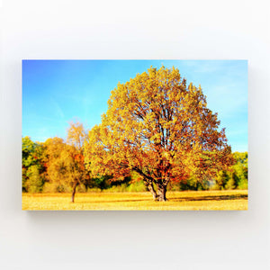 Automne Doré Tableau Arbre | TableauDecoModerne®