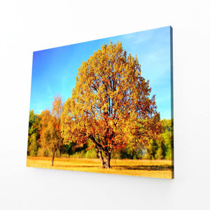 Automne Doré Tableau Arbre | TableauDecoModerne®