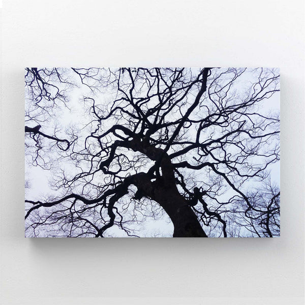 Branches Enchevêtrées Tableau Arbre | TableauDecoModerne®