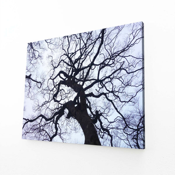 Branches Enchevêtrées Tableau Arbre | TableauDecoModerne®