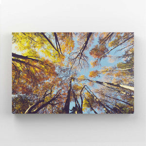 Canopée Automnale Tableau Arbre | TableauDecoModerne®