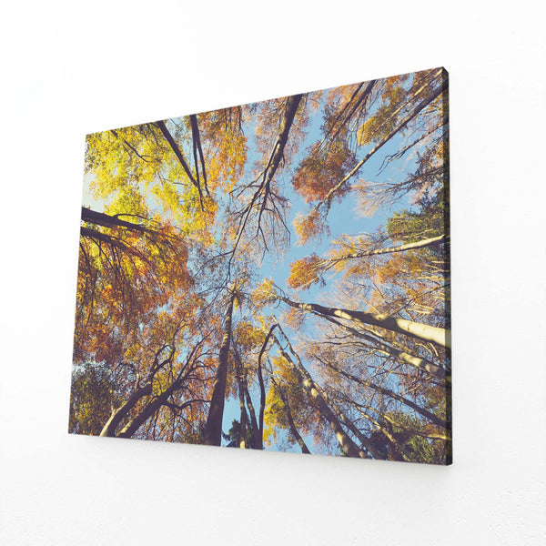 Canopée Automnale Tableau Arbre | TableauDecoModerne®