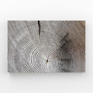 Cercle Naturel Tableau Arbre | TableauDecoModerne®