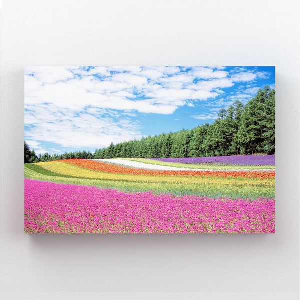 Champ Fleuri Tableau Paysage | TableauDecoModerne®