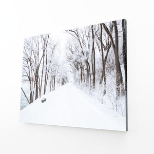 Chemin Hivernal Tableau Arbre | TableauDecoModerne®