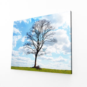 Ciel Bleu Tableau Arbre | TableauDecoModerne®