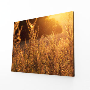 Coucher Doré Tableau Arbre | TableauDecoModerne®