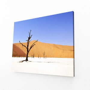 Désert Solitaire Tableau Arbre | TableauDecoModerne®