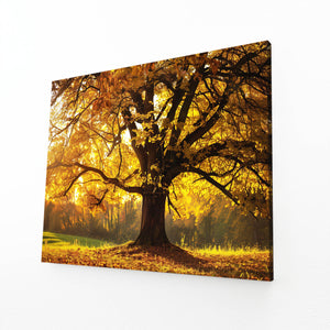 Doré Automne Tableau Arbre | TableauDecoModerne®