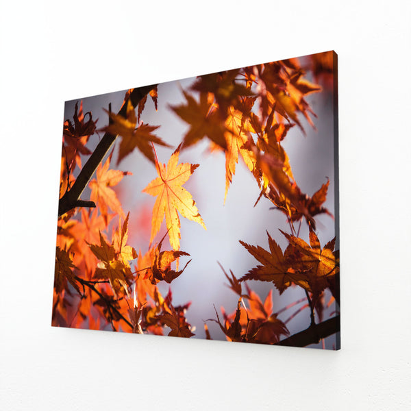 Feuilles d'Automne Tableau Arbre | TableauDecoModerne®