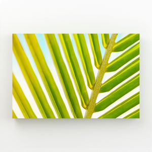 Feuilles Tropicales Tableau Arbre | TableauDecoModerne®