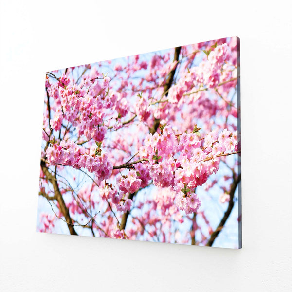 Fleurs de Cerisier Tableau Arbre | TableauDecoModerne®