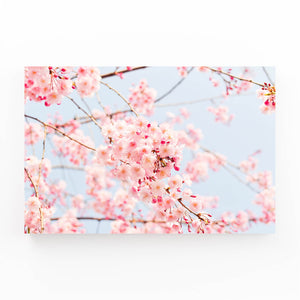 Fleurs de Cerisier Tableau Rose | TableauDecoModerne®