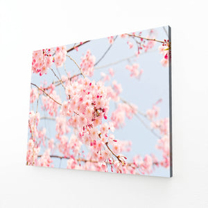 Fleurs de Cerisier Tableau Rose | TableauDecoModerne®