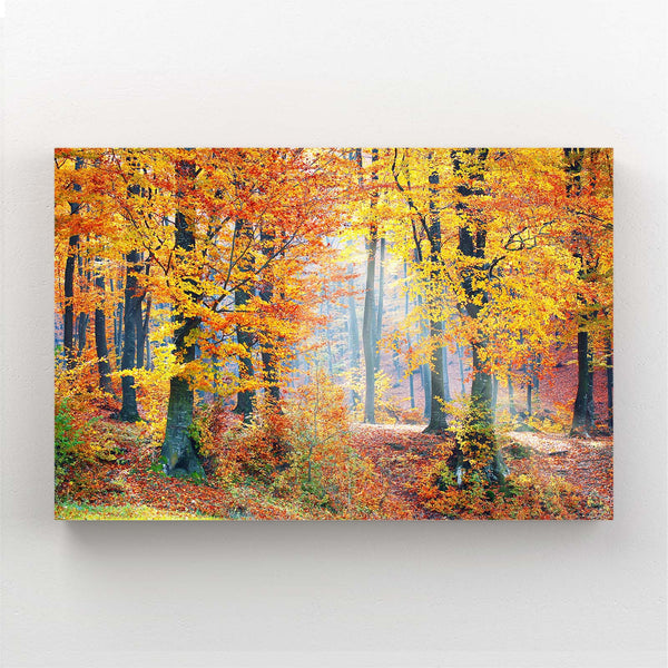 Forêt Automnale Tableau Arbre | TableauDecoModerne®