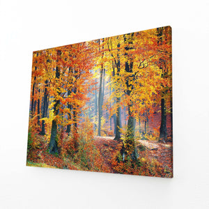 Forêt Automnale Tableau Arbre | TableauDecoModerne®