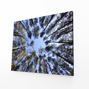 Forêt Céleste Tableau Arbre | TableauDecoModerne®