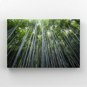 Forêt de Bambous Tableau Arbre | TableauDecoModerne®