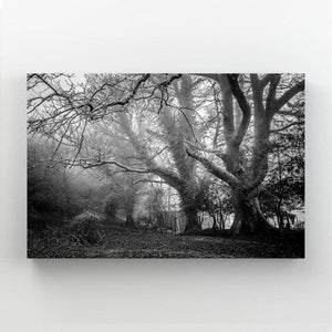 Forêt Enchantée Tableau Arbre | TableauDecoModerne®