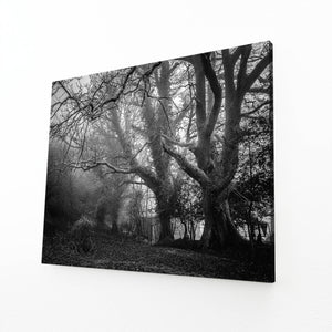 Forêt Enchantée Tableau Arbre | TableauDecoModerne®