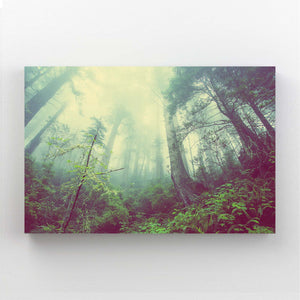 Forêt Enchantée Tableau | TableauDecoModerne®