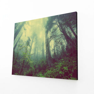 Forêt Enchantée Tableau | TableauDecoModerne®