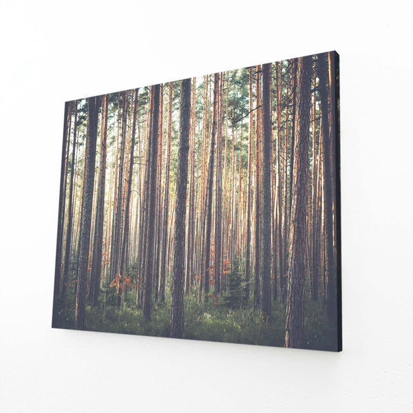 Forêt Profonde Tableau Arbre | TableauDecoModerne®