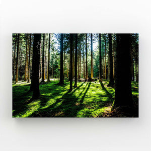 Forêt Verdoyante Tableau Arbre | TableauDecoModerne®