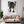 Loup Sombre Tableau Loup | TableauDecoModerne®