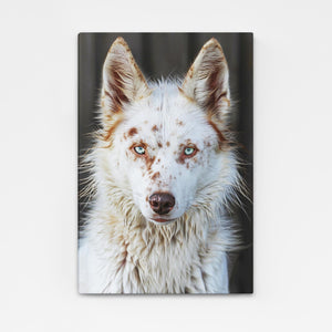 Loup Tableau Enigmatique | TableauDecoModerne®