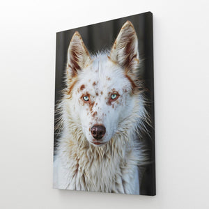 Loup Tableau Enigmatique | TableauDecoModerne®