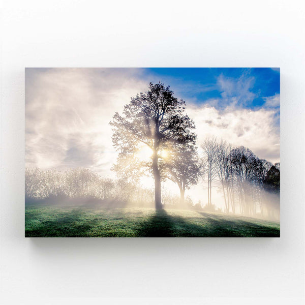 Lumière Matinale Tableau Arbre | TableauDecoModerne®