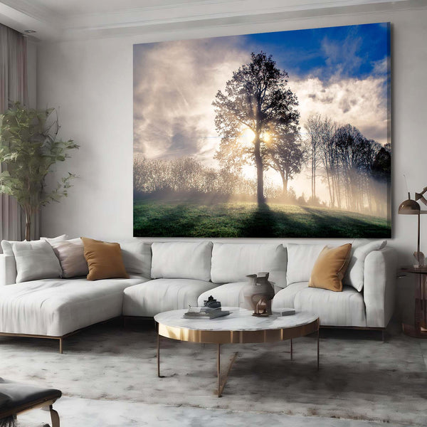 Lumière Matinale Tableau Arbre | TableauDecoModerne®