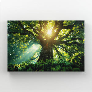 Lumière Naturelle Tableau Arbre | TableauDecoModerne®