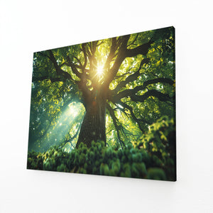 Lumière Naturelle Tableau Arbre | TableauDecoModerne®