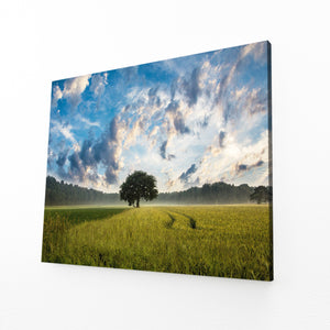 Matin Champêtre Tableau Arbre | TableauDecoModerne®