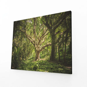 Naturel Tableau Arbre | TableauDecoModerne®