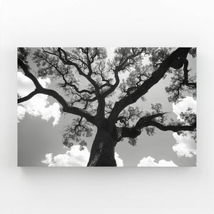 Ombre Majestueuse Tableau Arbre | TableauDecoModerne®