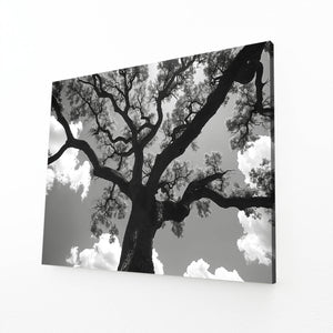 Ombre Majestueuse Tableau Arbre | TableauDecoModerne®