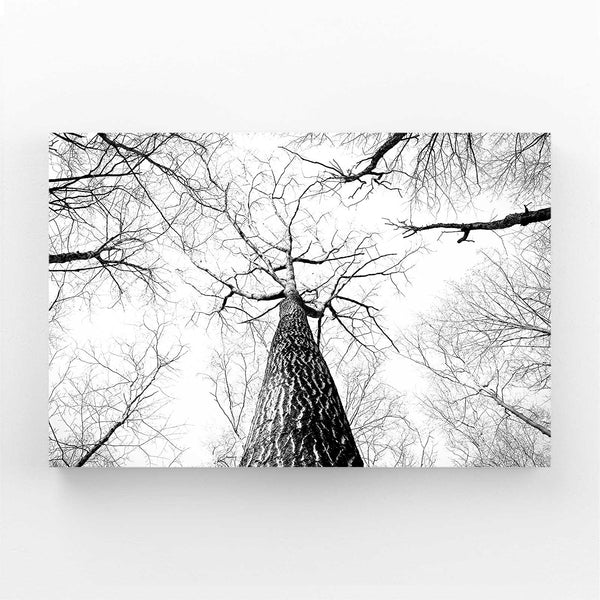 Perspective Graphique Tableau Arbre | TableauDecoModerne®